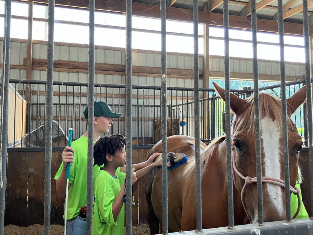 BISM summer students brushing horses
